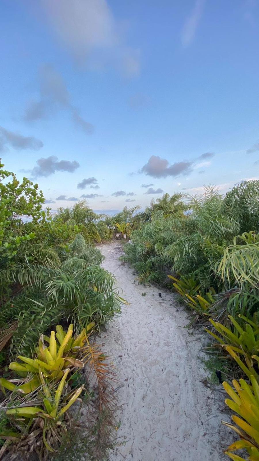 Lindo Apto Em Frente Ao Mar - Ilheus - Itacare Ba Экстерьер фото
